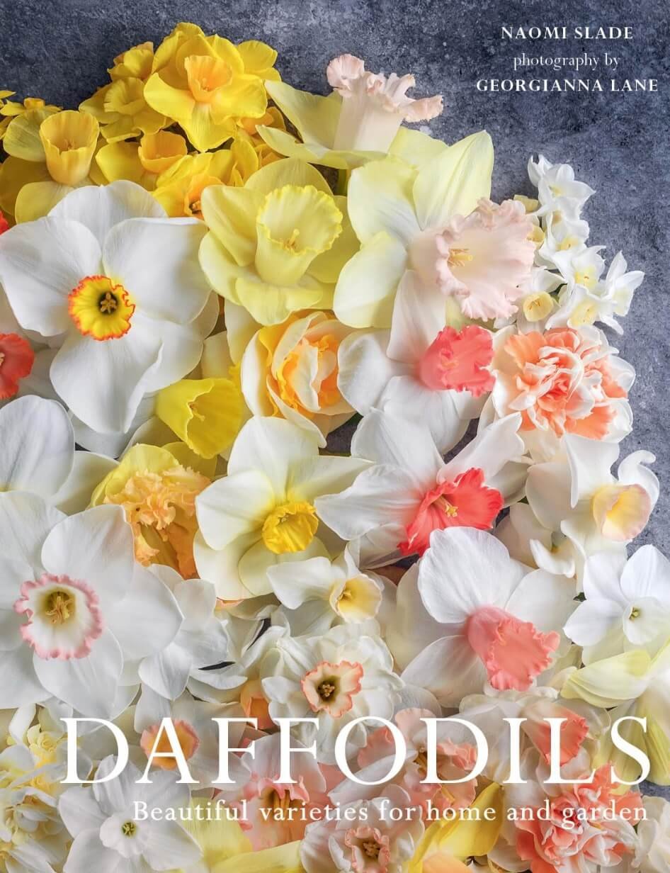 Daffodils: Beautiful Varieties for Home and Garden by Naomi Slade