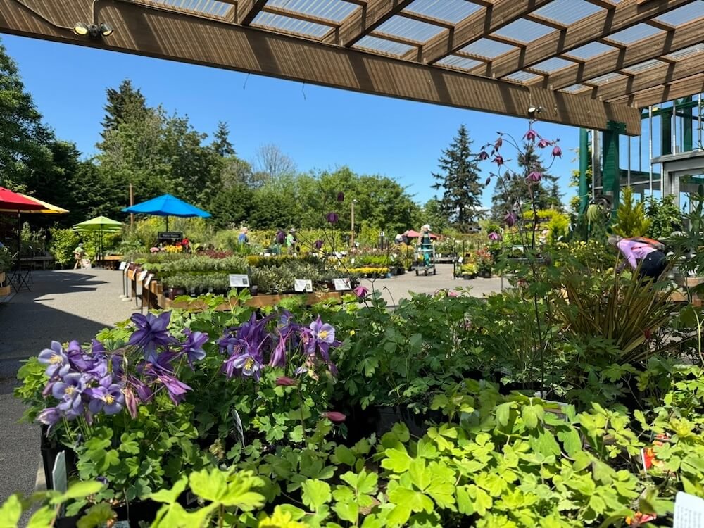 Swansons Nursery