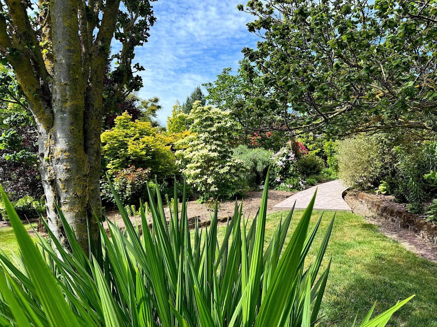SEBRIGHT GARDENS