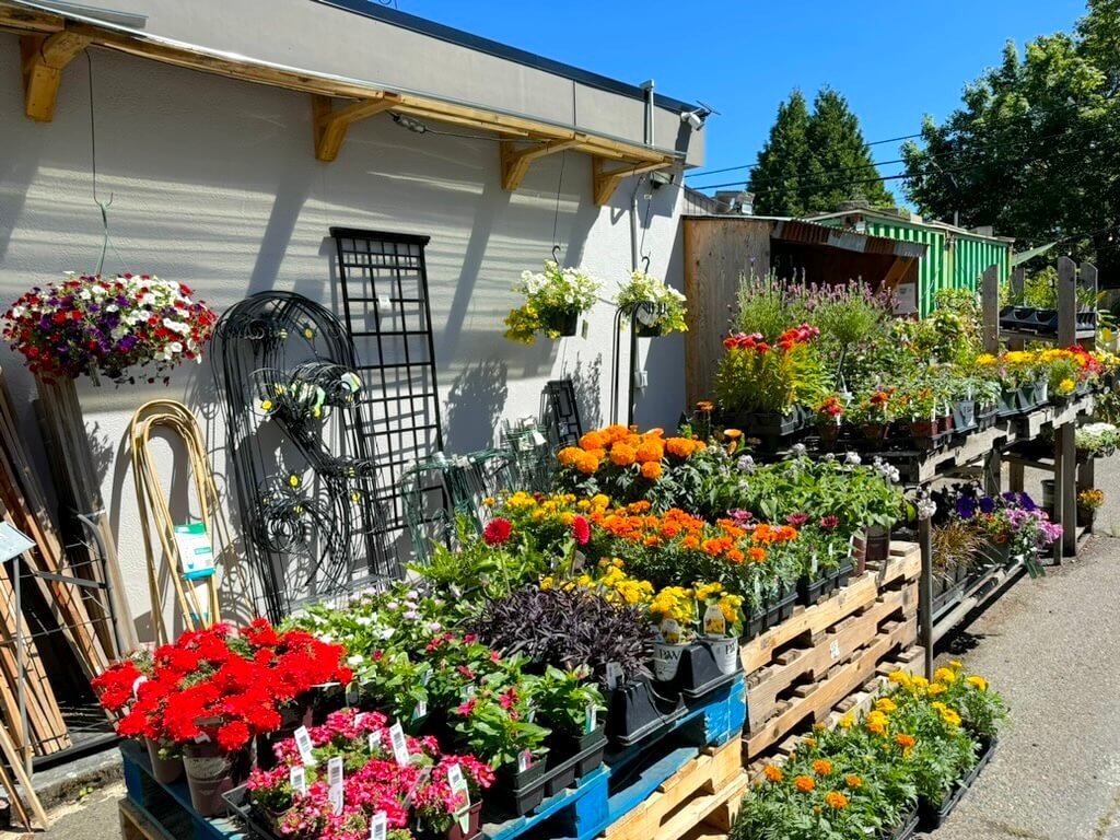 Urban Feed & Garden