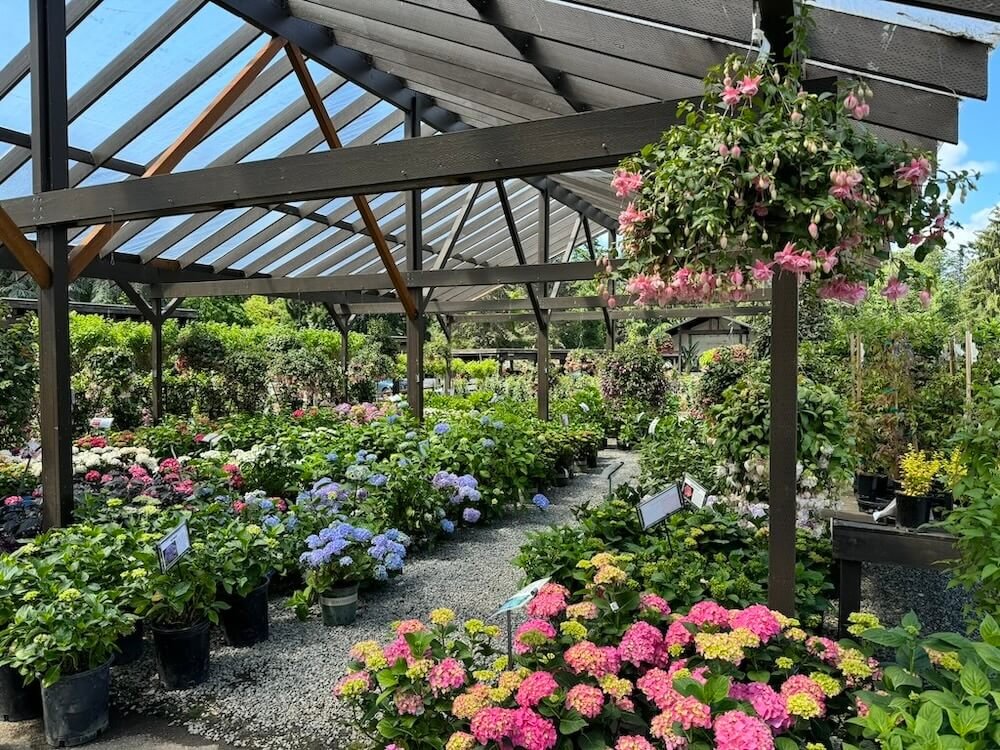 Wells Medina Nursery