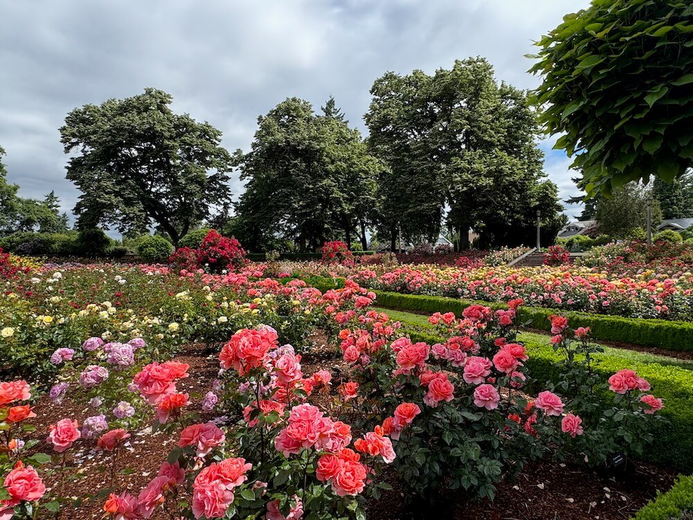 PENINSULA PARK ROSE GARDEN