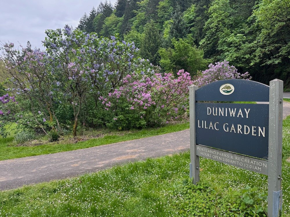 DUNIWAY PARK LILAC GARDEN