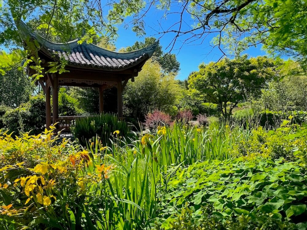 Seattle Chinese Garden