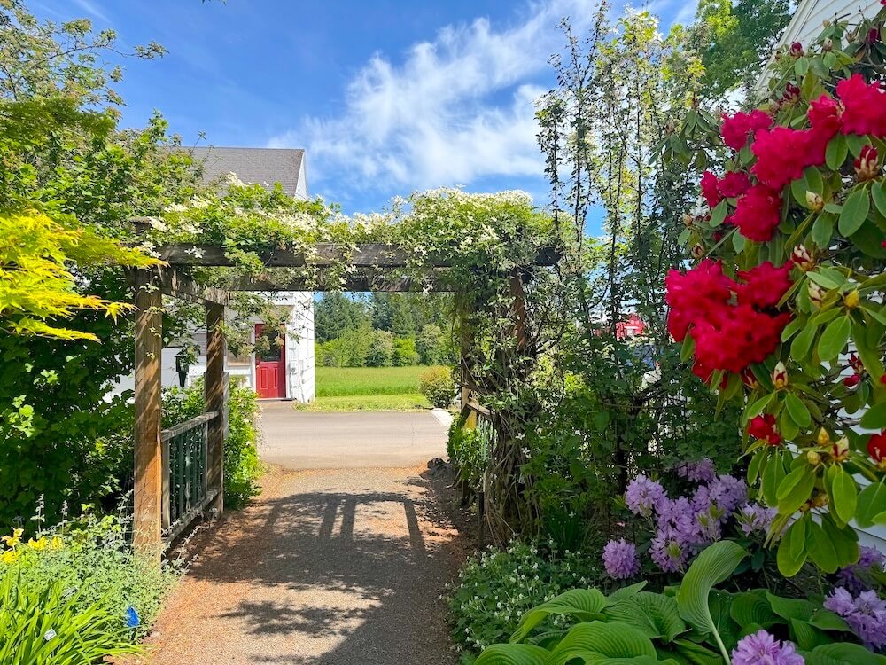 ROGERSON CLEMATIS GARDEN