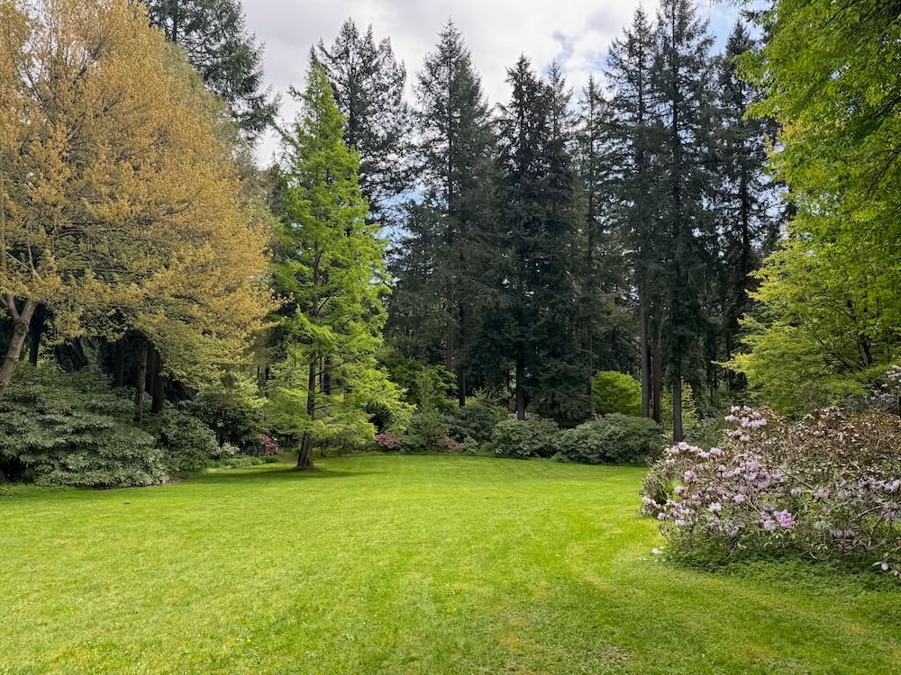 RHODODENDRON SPECIES BOTANICAL GARDEN