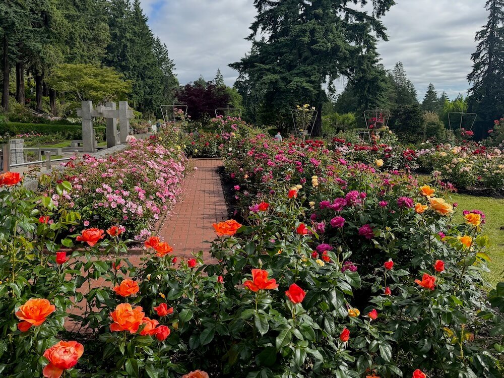 PORTLAND INTERNATIONAL ROSE TEST GARDEN