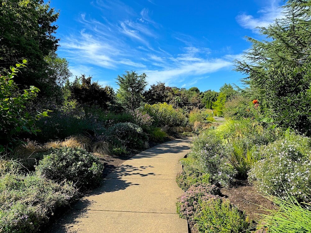 THE OREGON GARDEN