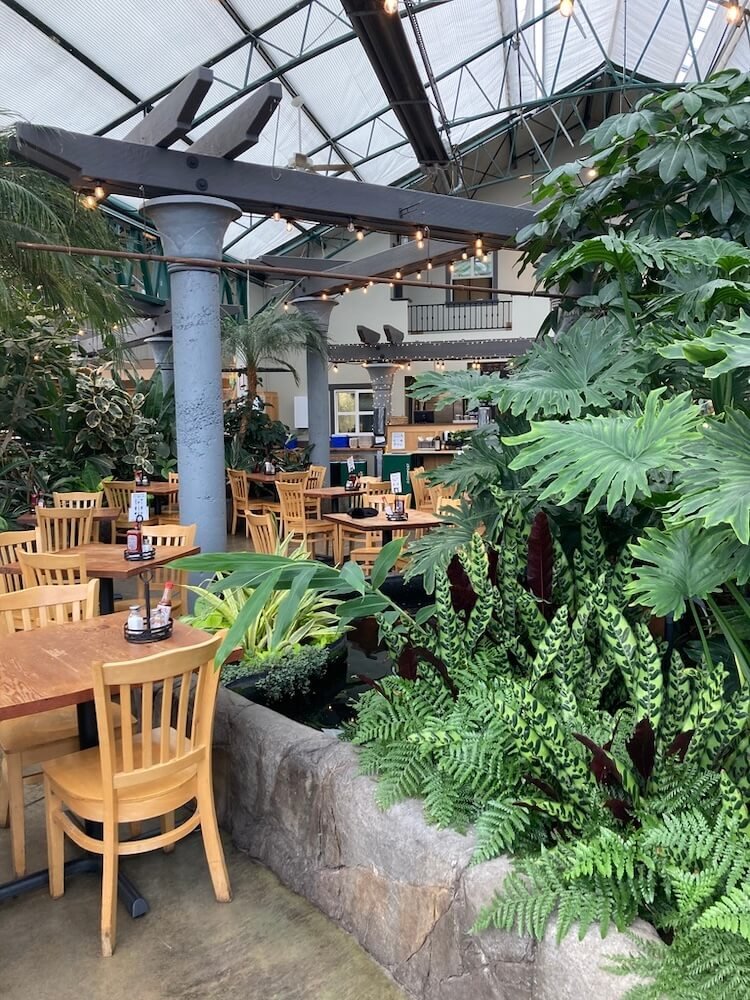 Swansons Nursery