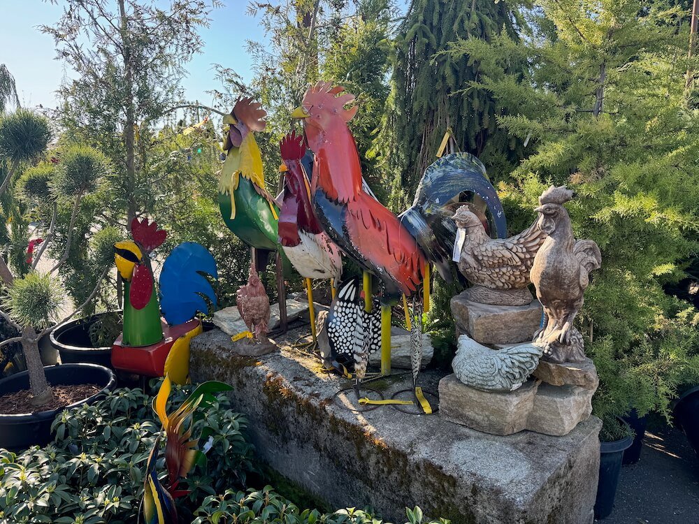 OLMSTEAD’S NURSERY