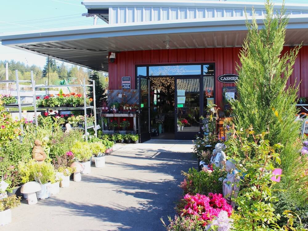 OLMSTEAD’S NURSERY