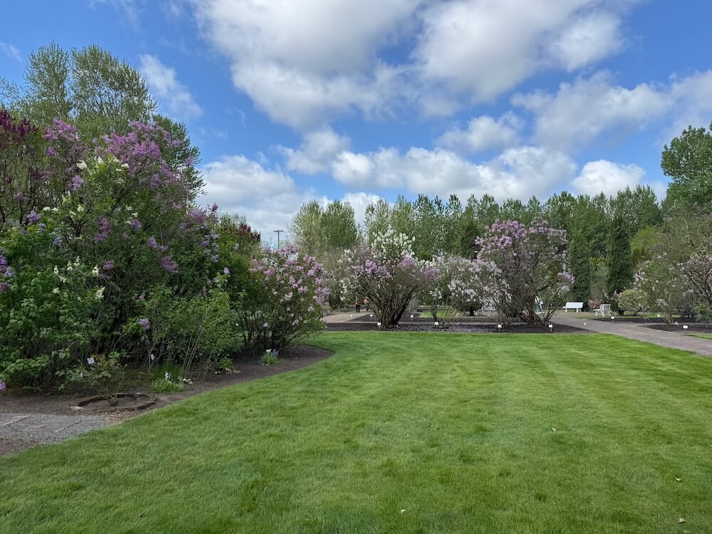 HULDA KLAGER LILAC GARDENS
