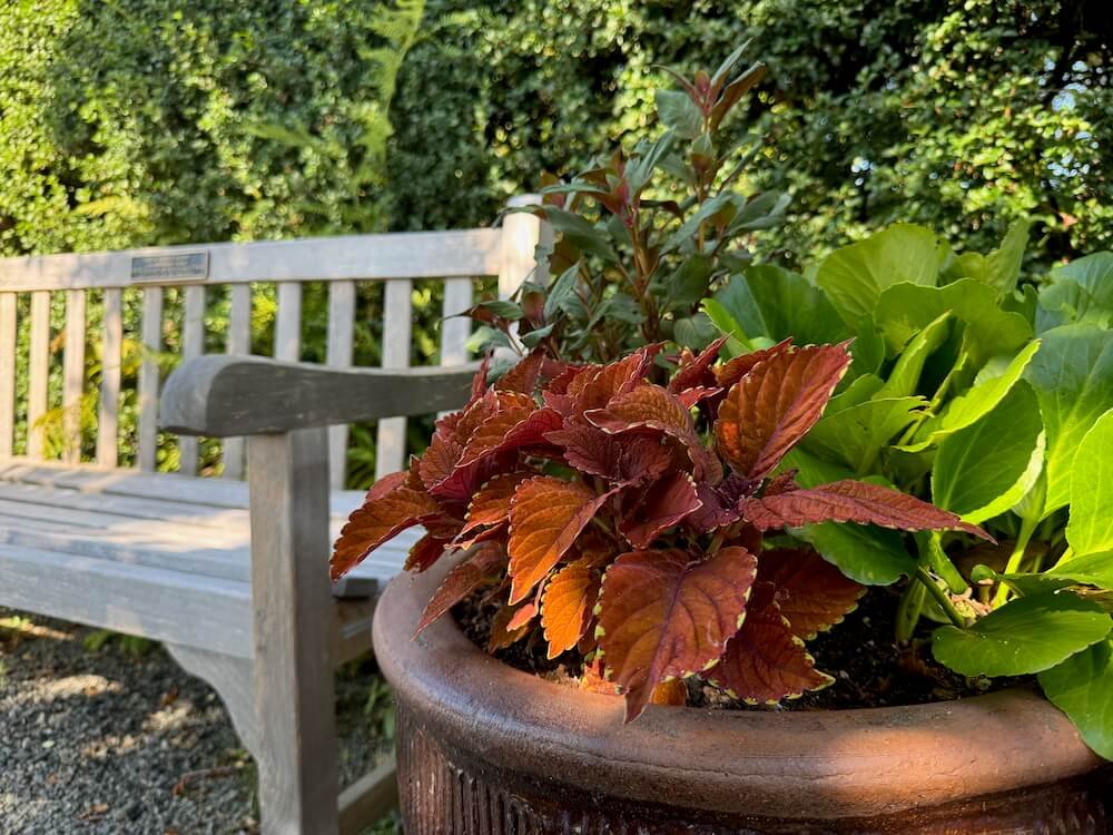 Center for Urban Horticulture