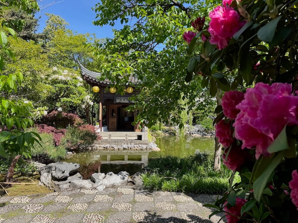 LAN SU CHINESE GARDEN