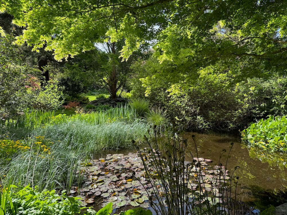 POWELLSWOOD GARDEN