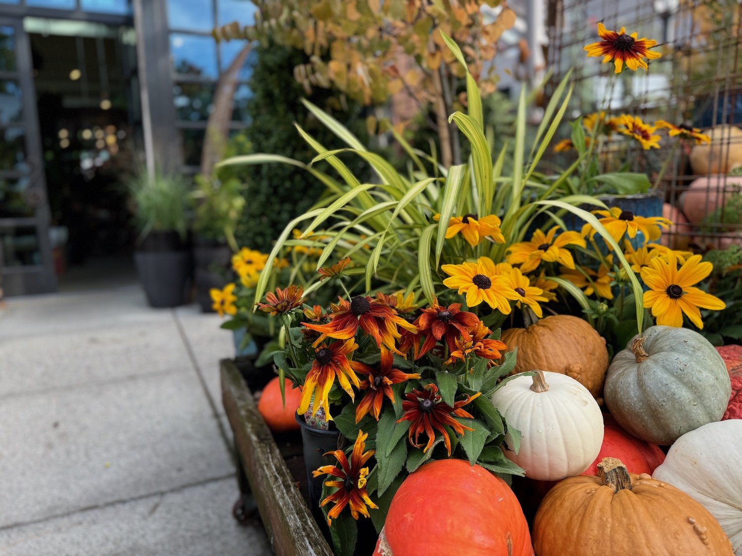 Fall Garden Tasks