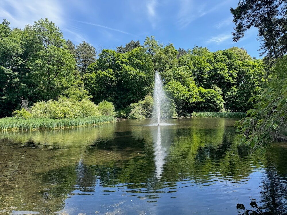 CRYSTAL SPRINGS RHODODENDRON GARDEN
