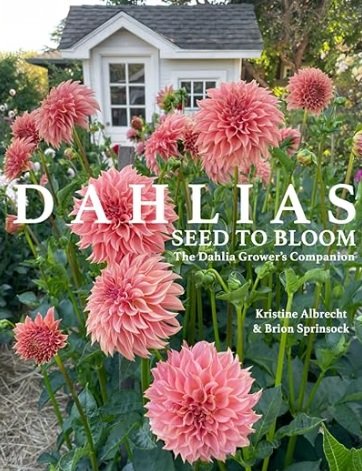 Dahlias: Seed to Bloom: the Dahlia Grower’s Companion by Kristine Albrecht & Brion Sprinsock