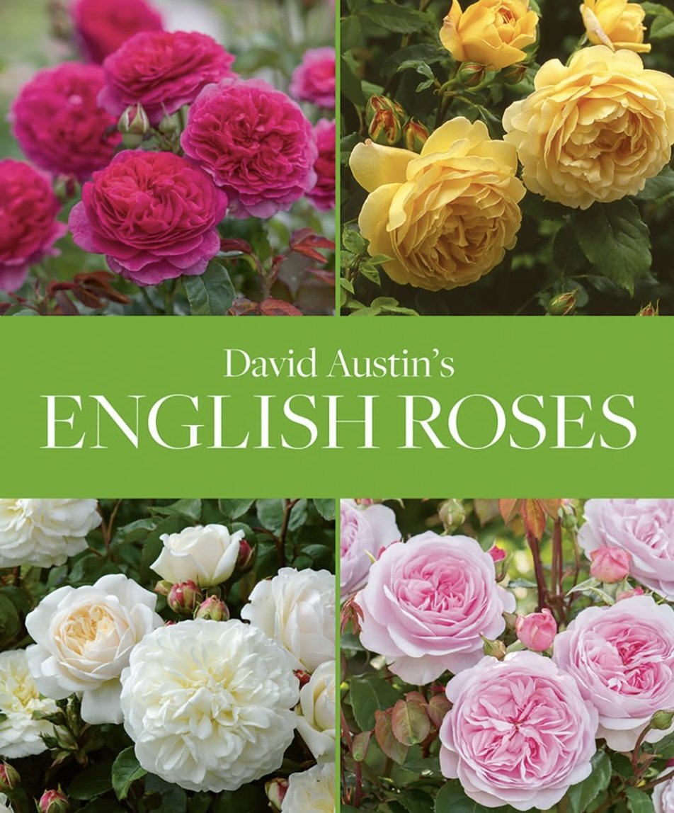 David Austin’s English Roses by David Austin