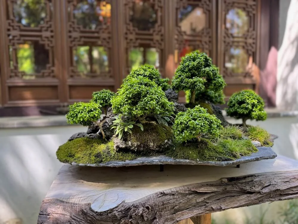 LAN SU CHINESE GARDEN