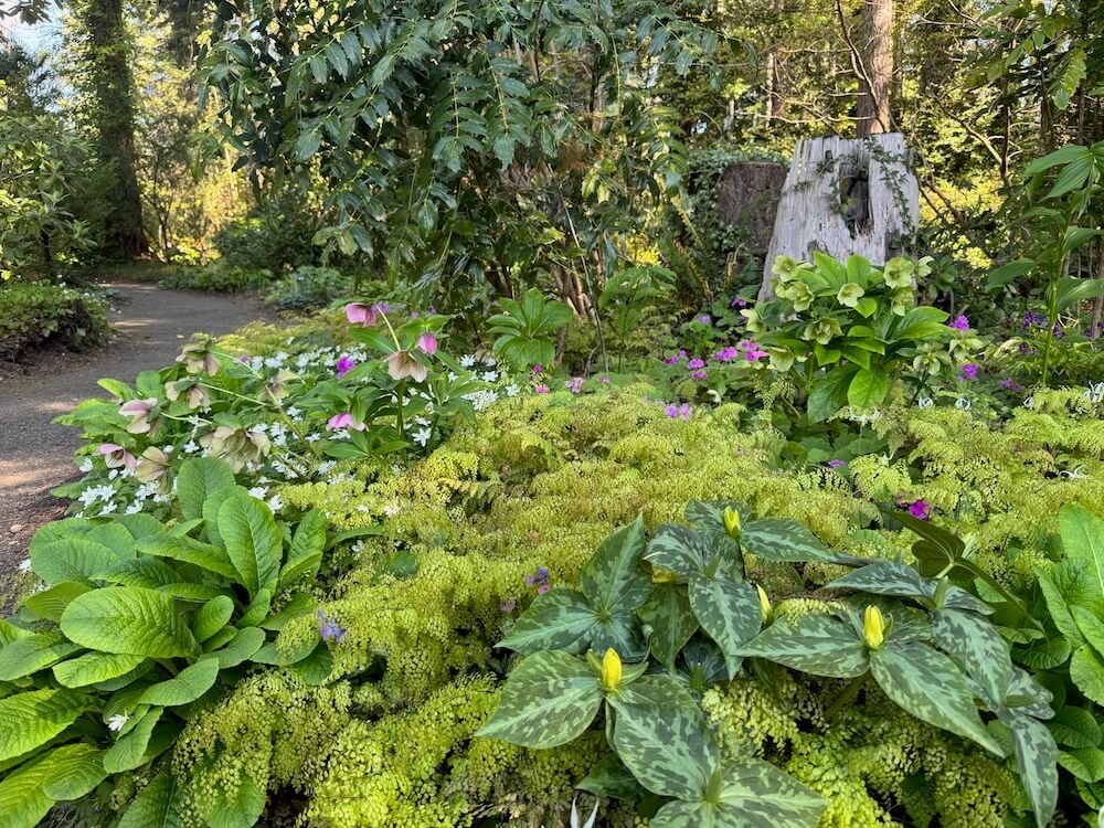HERONSWOOD GARDEN