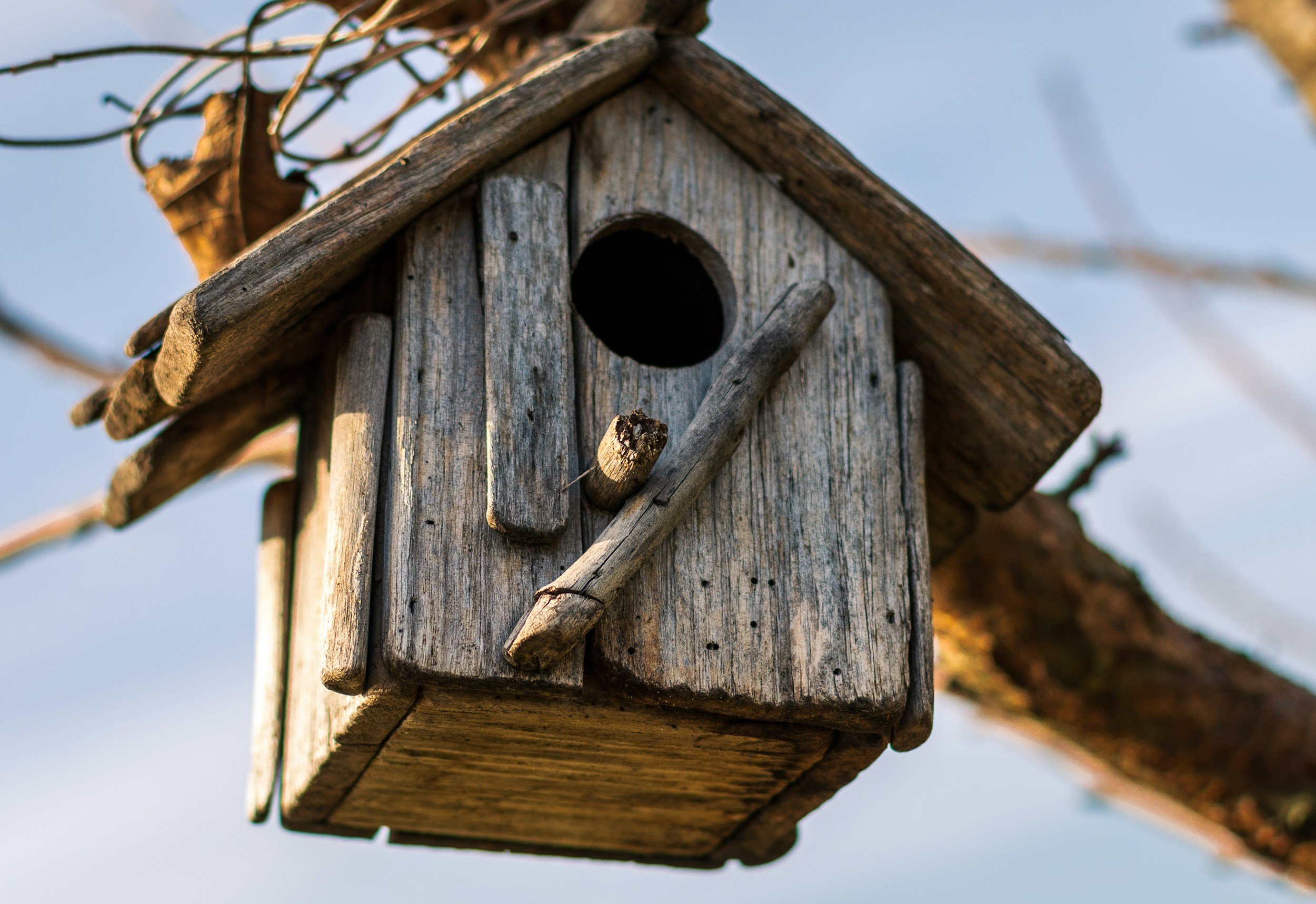 INSTALL NESTING/ROOSTING BOXES