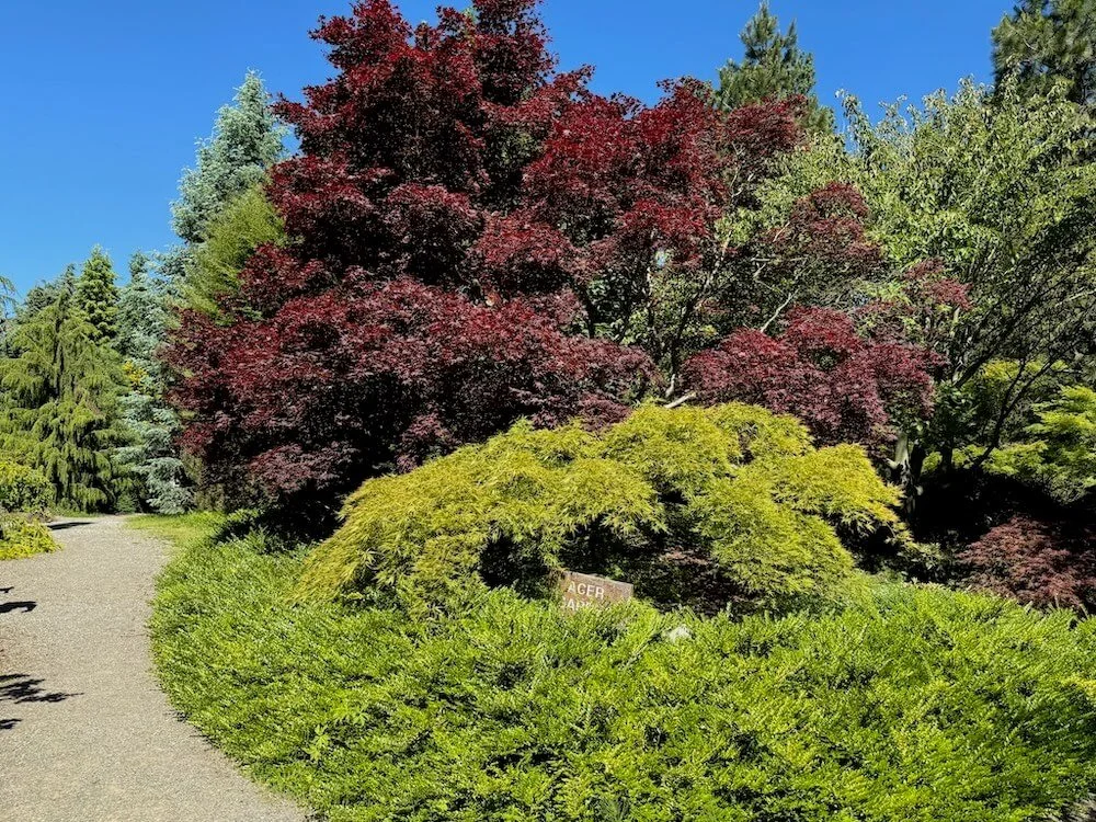 South Seattle Arboretum