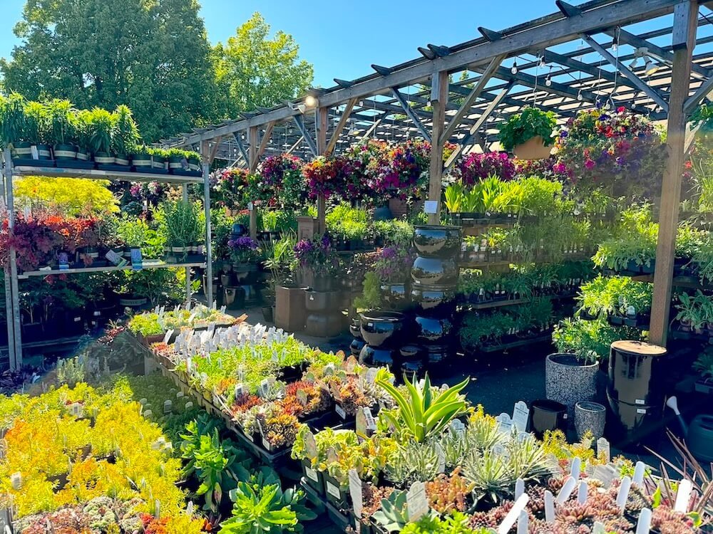 West Seattle Nursery