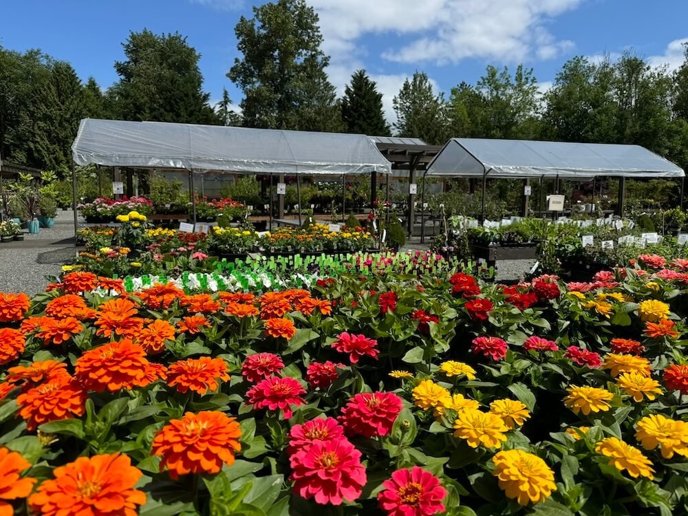 Wells Medina Nursery