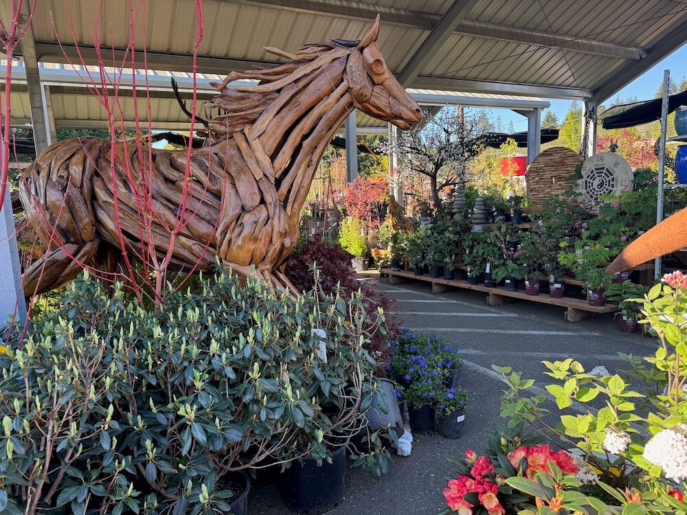 OLMSTEAD’S NURSERY
