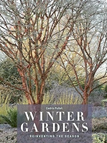 Winter Gardens: Reinventing the Season by Cedric Pollet