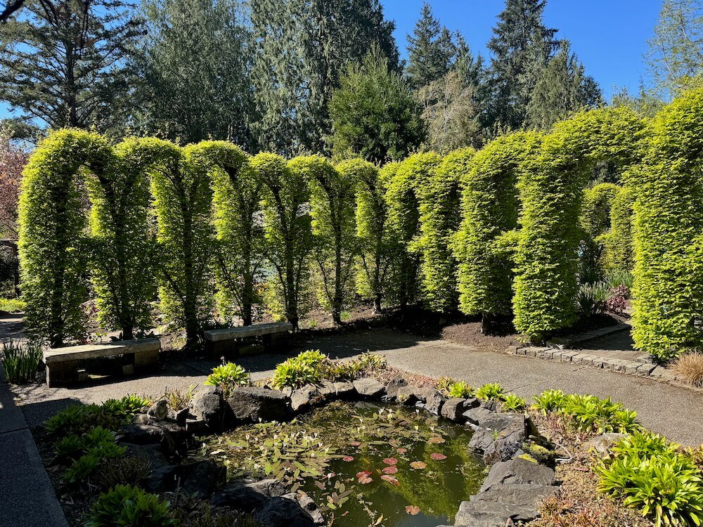 HERONSWOOD GARDEN