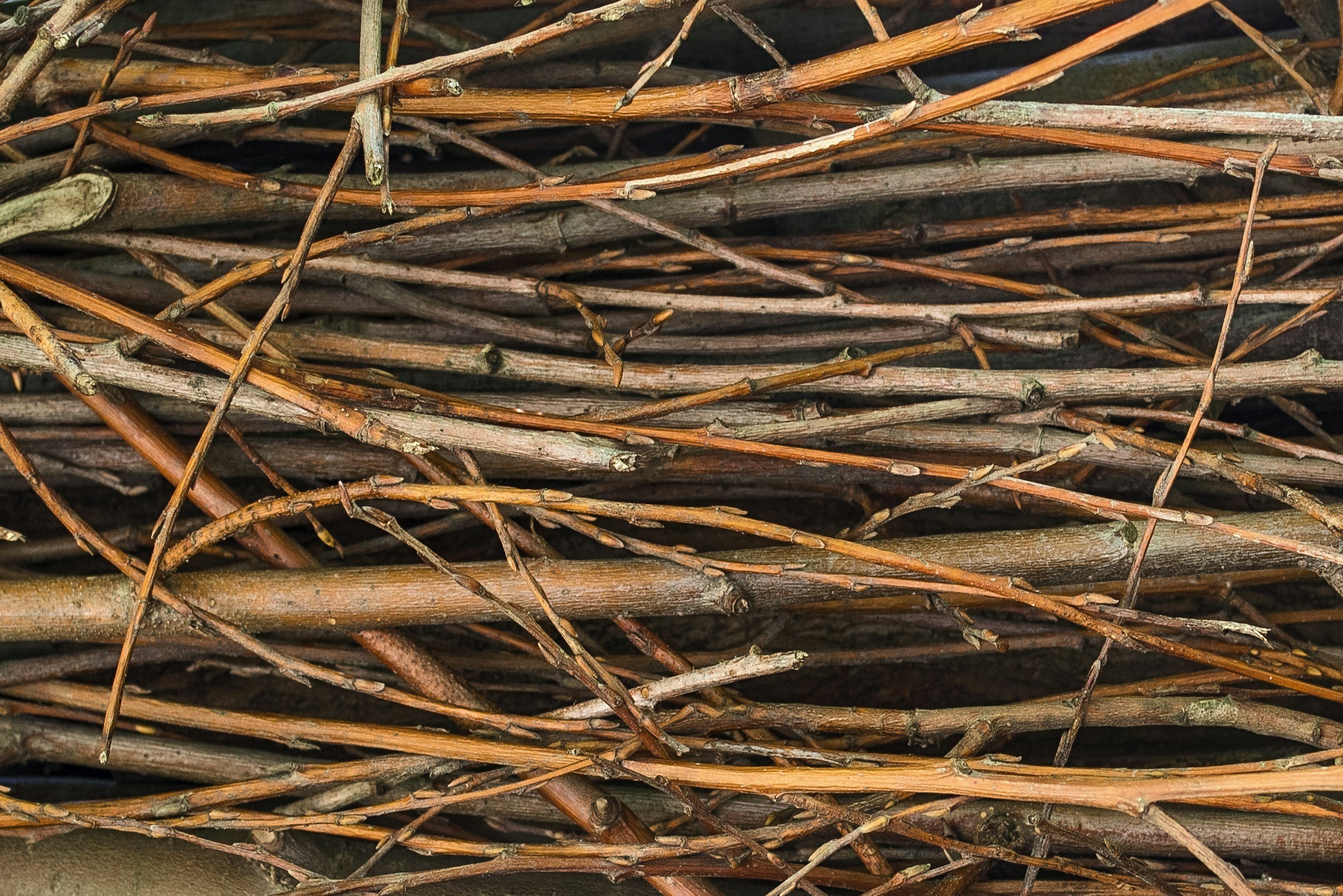 CREATE BUSH PILES