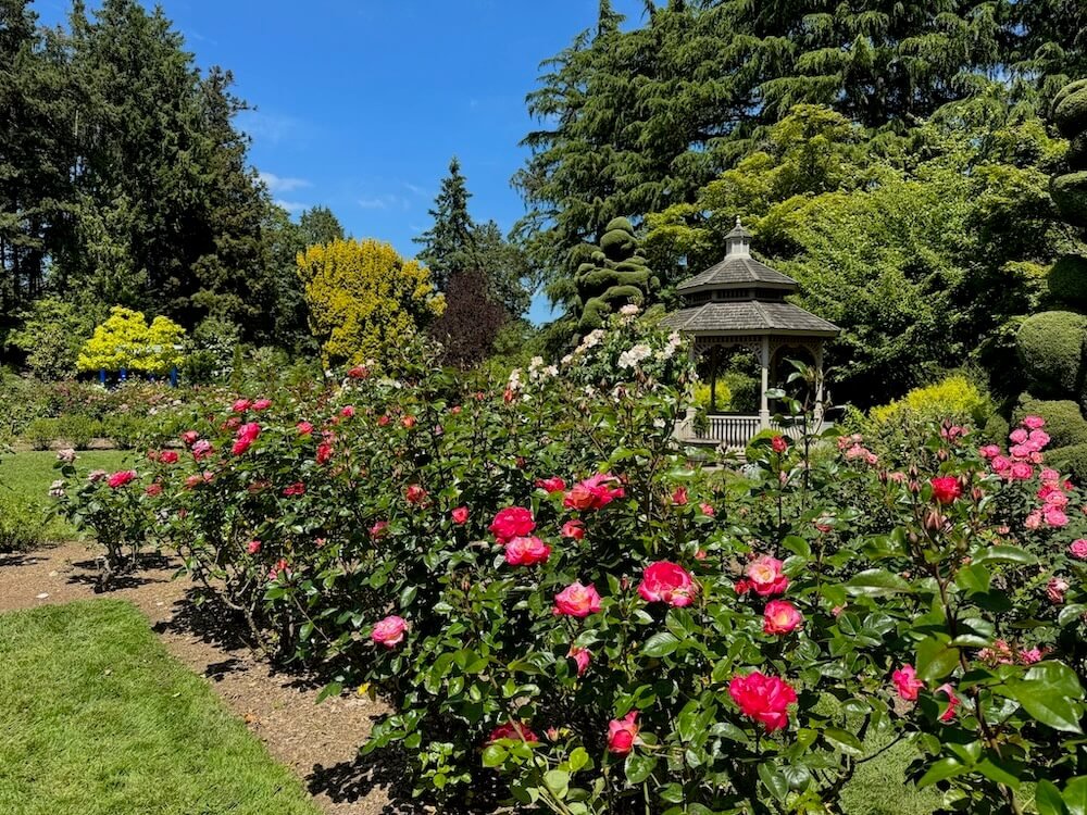 Woodland Park Rose Garden