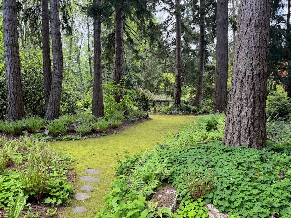 POWELLSWOOD GARDEN