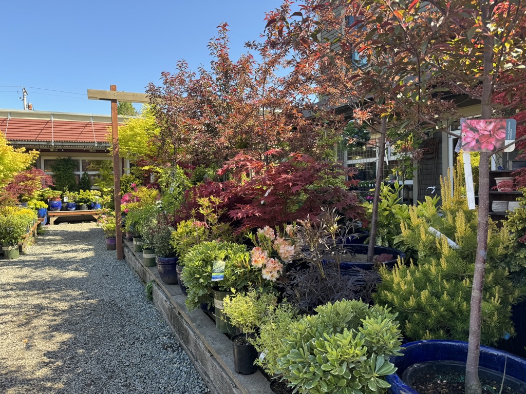 Plant Nurseries