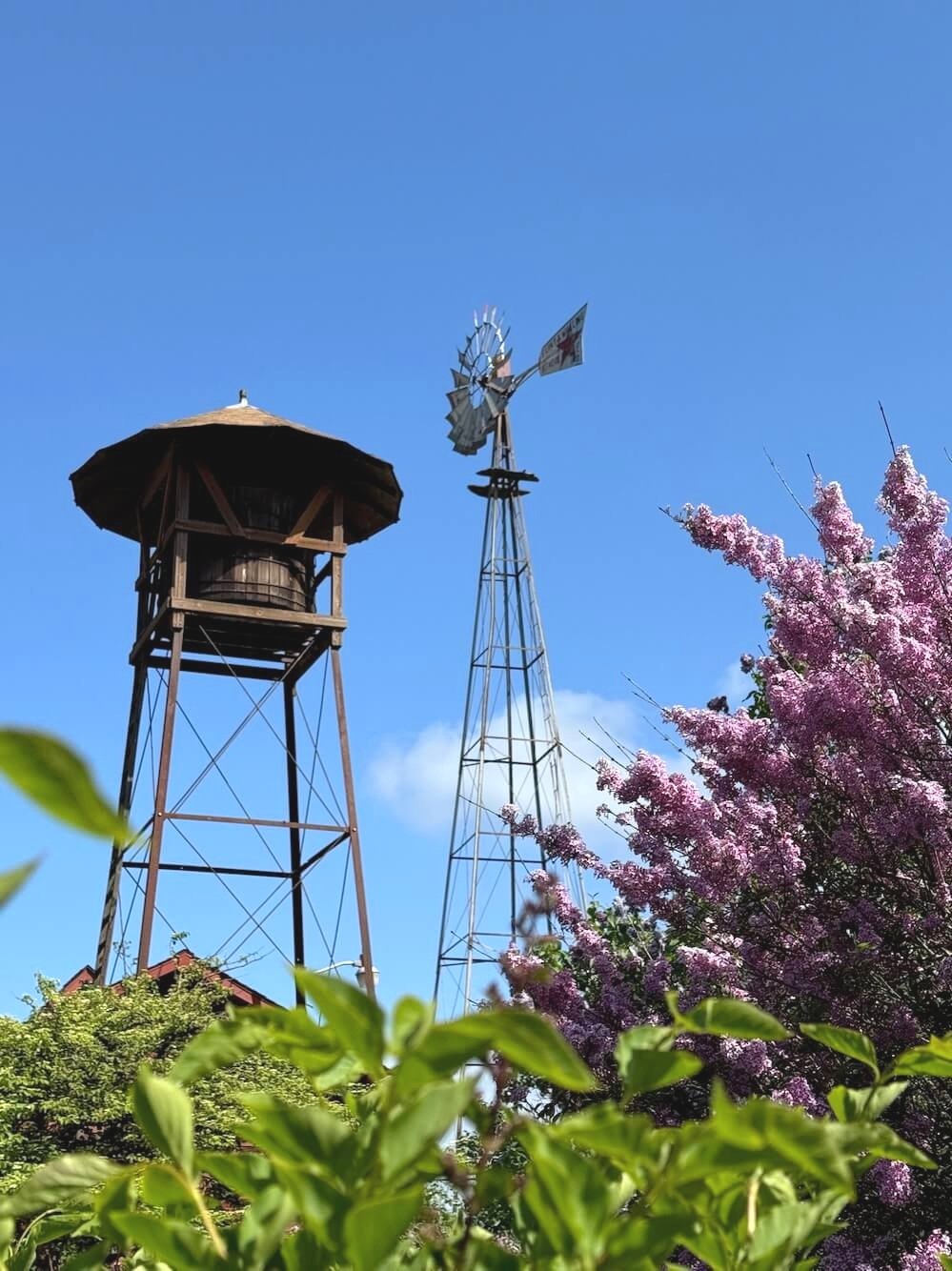 HULDA KLAGER LILAC GARDENS