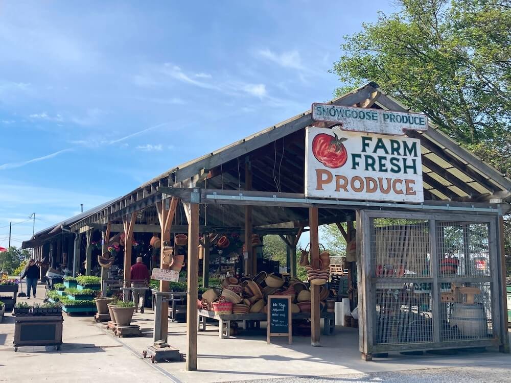 NURSERIES & FARM STANDS