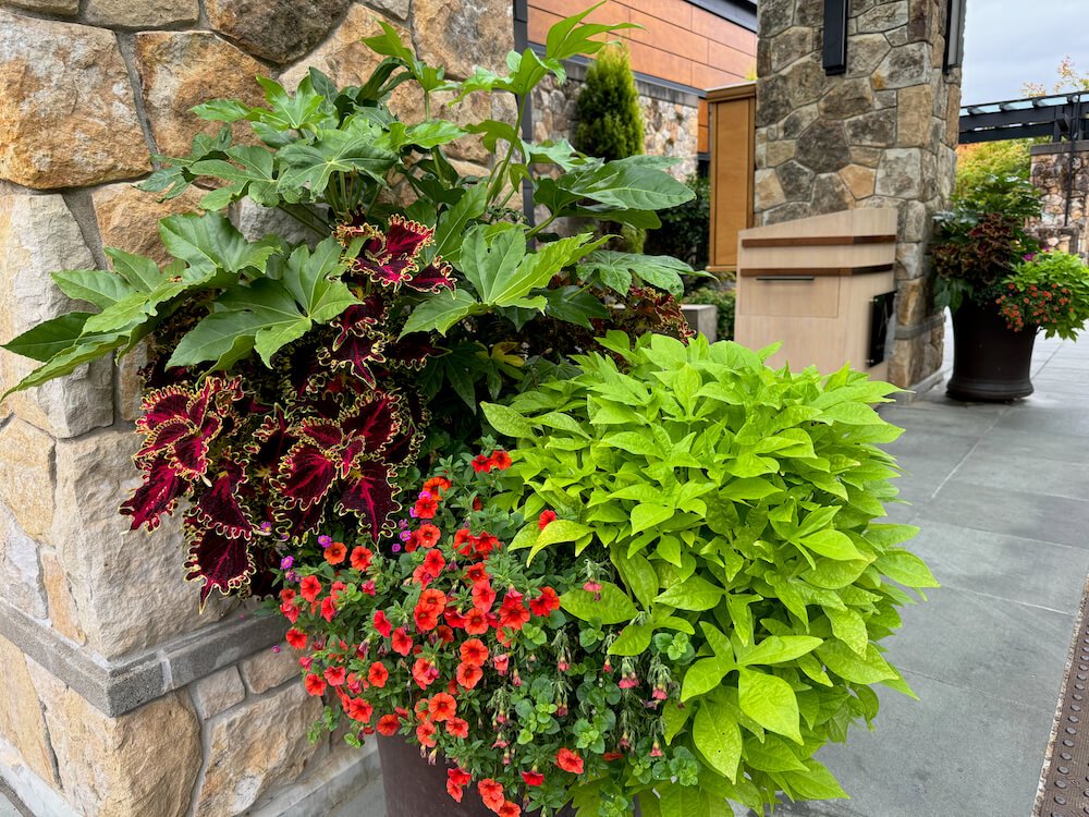 THE ALLISON INN & SPA
