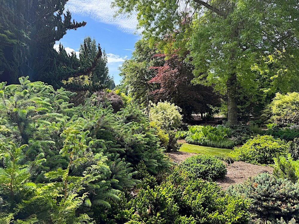 SEBRIGHT GARDENS