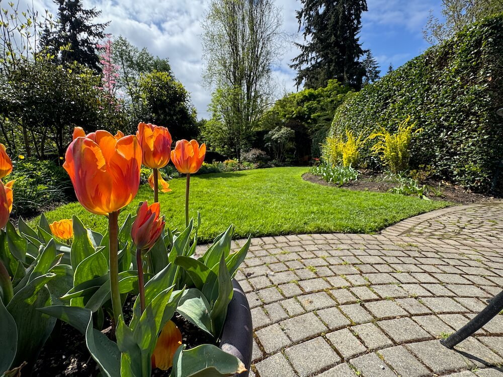 POWELLSWOOD GARDEN
