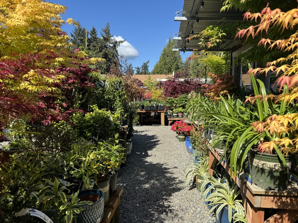 Plant Nurseries