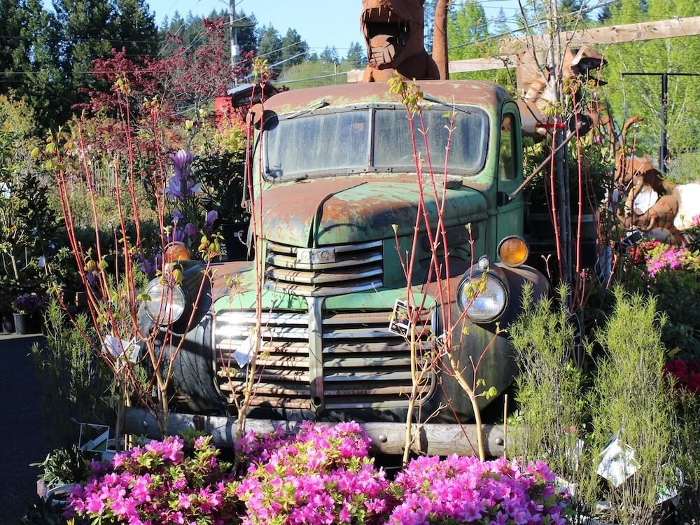 OLMSTEAD’S NURSERY