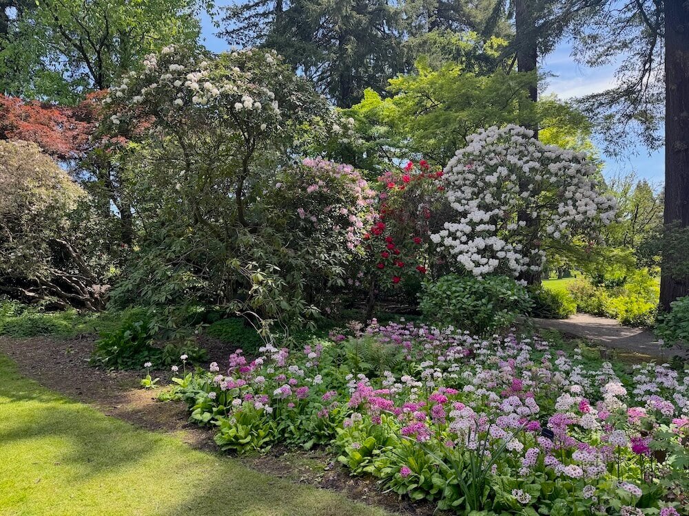 CRYSTAL SPRINGS RHODODENDRON GARDEN