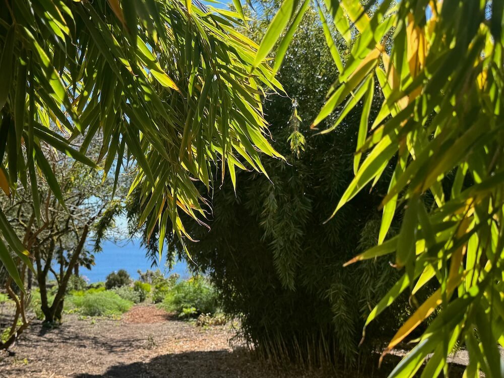 WINDCLIFF GARDEN