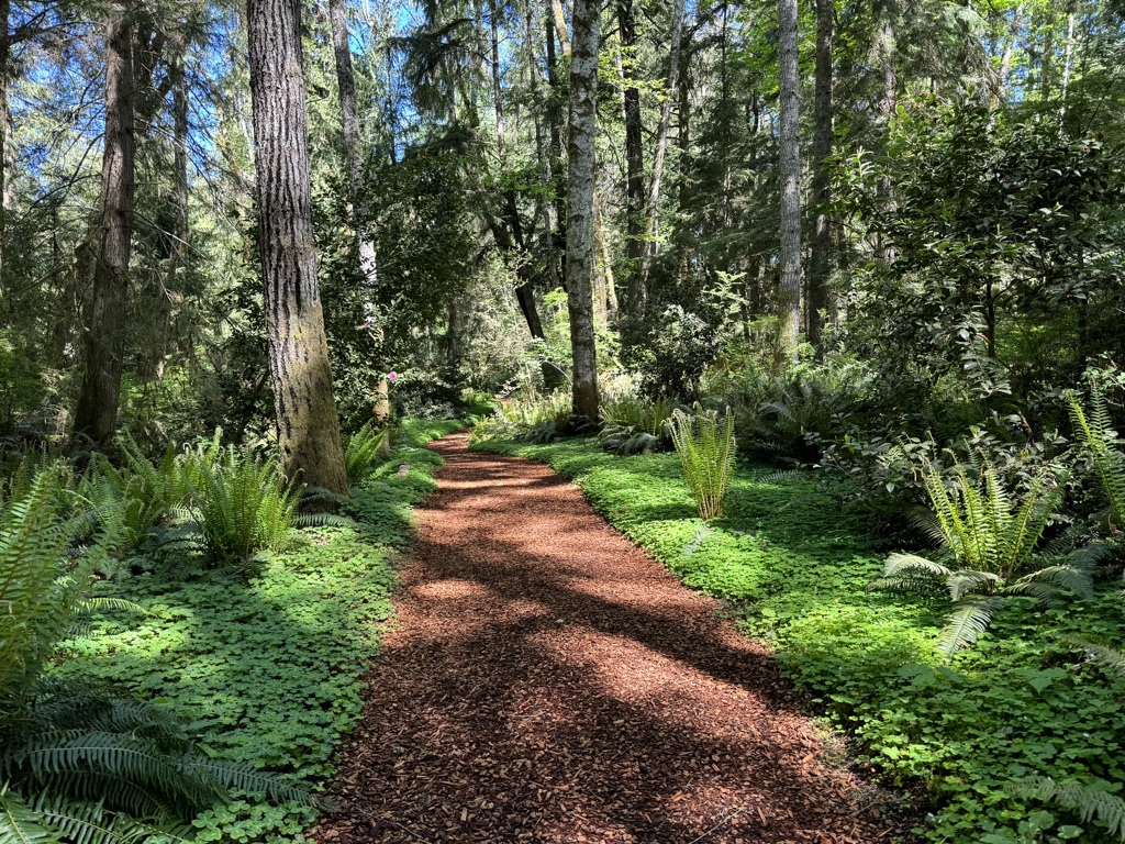 Bloedel Reserve