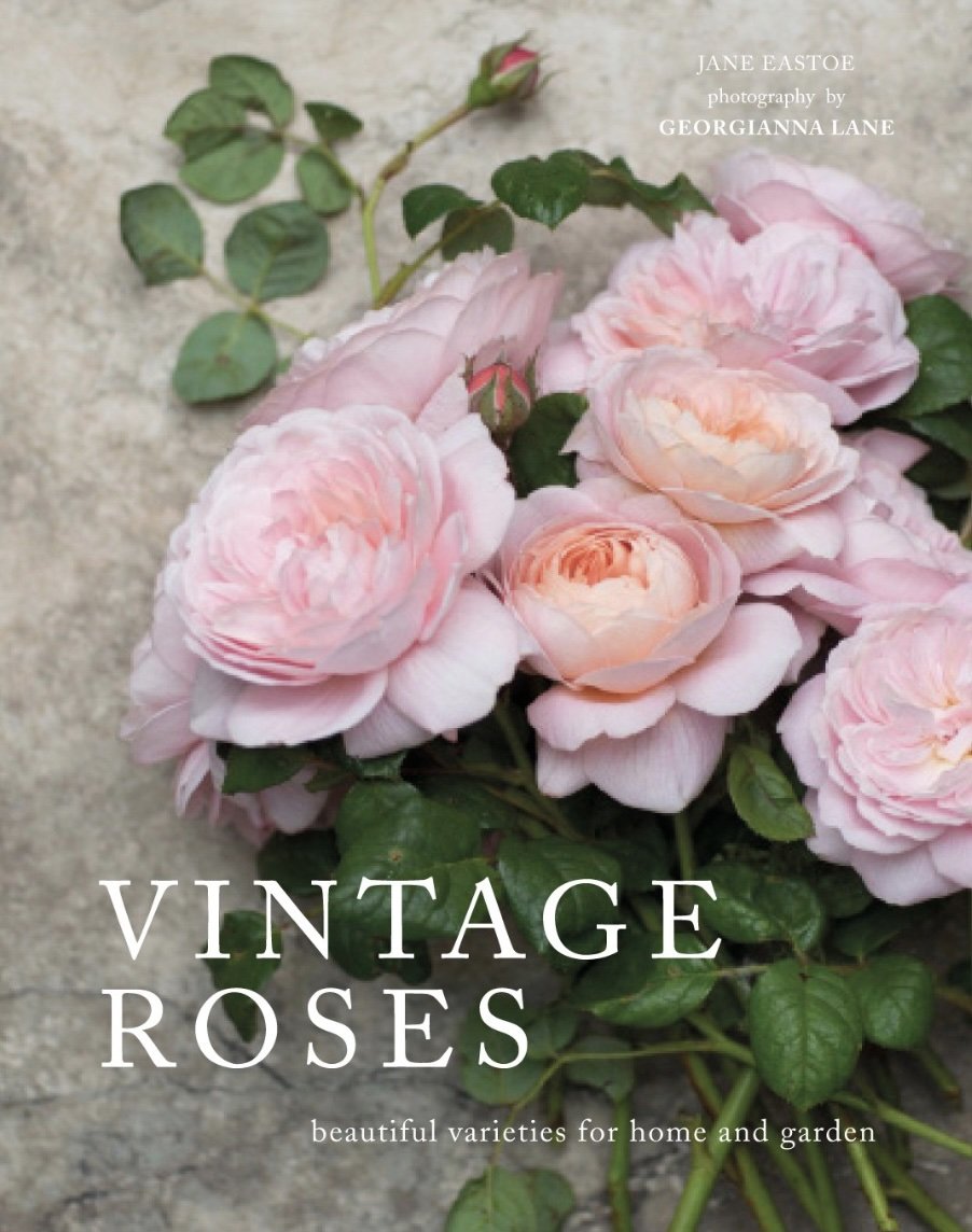 Vintage Roses: Beautiful Varieties for Home and Garden by Jane Eastoe