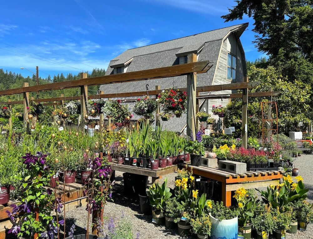 Gray Barn Nursery