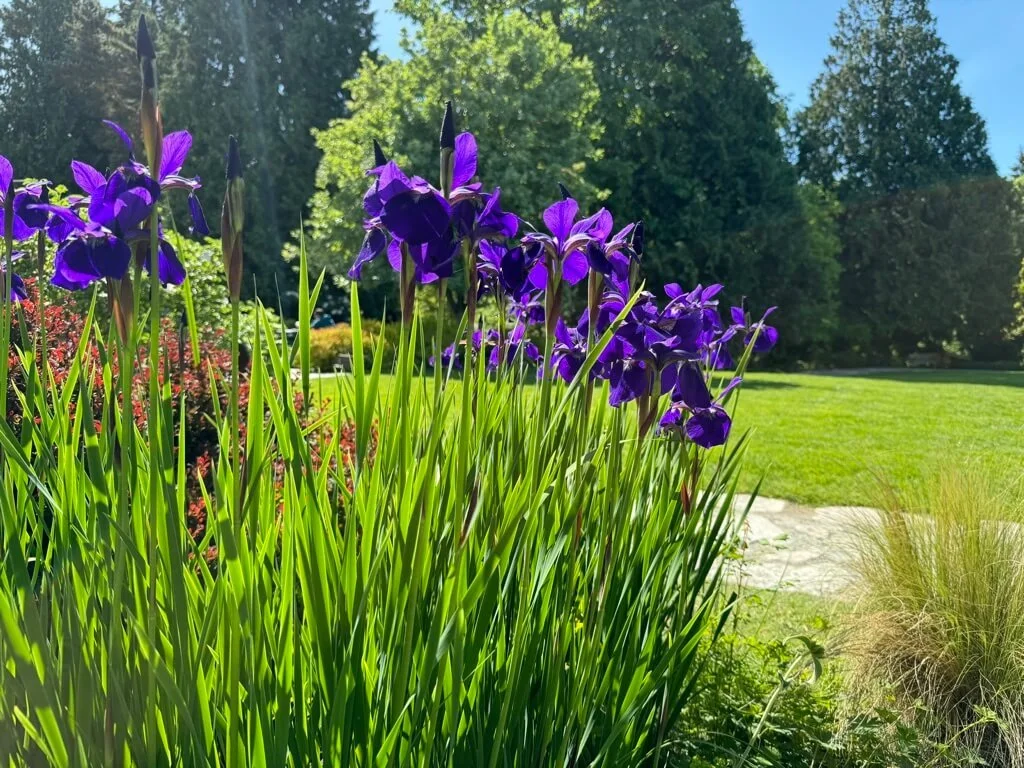 Bellevue Botanical Garden