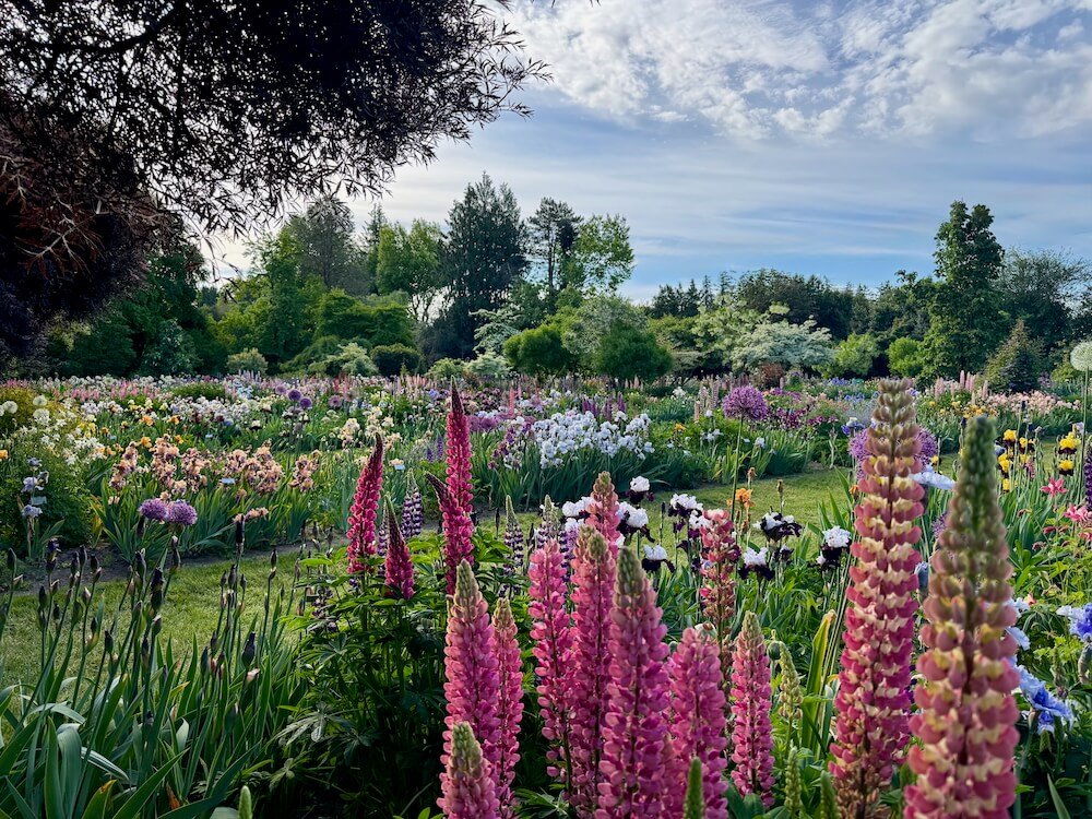 Oregon garden tours
